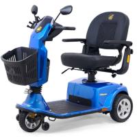 Companion 3-Wheel Full Size